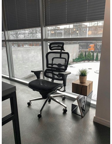 Fotel biurowy ERGOHUMAN czarny