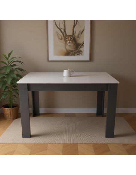 Stół 120x80 blat biały/nogi szare