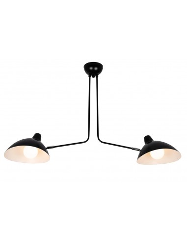 Lampa wisząca RAVEN 2